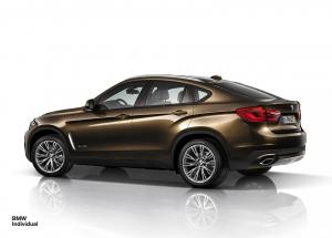 2015 BMW X6 Individual